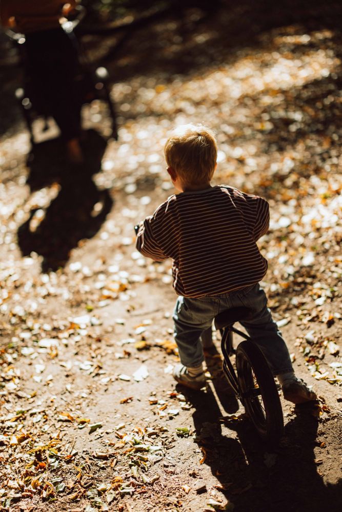 Kind op de fiets in het bos